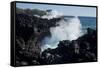 Huge waves crashing against lava rocks on coast of Big Island, Hawaii-Gayle Harper-Framed Stretched Canvas