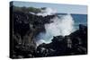 Huge waves crashing against lava rocks on coast of Big Island, Hawaii-Gayle Harper-Stretched Canvas