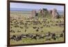 Huge wildebeest herd during migration, Serengeti National Park, Tanzania, Africa-Adam Jones-Framed Photographic Print