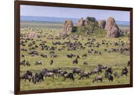 Huge wildebeest herd during migration, Serengeti National Park, Tanzania, Africa-Adam Jones-Framed Photographic Print