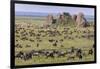 Huge wildebeest herd during migration, Serengeti National Park, Tanzania, Africa-Adam Jones-Framed Photographic Print