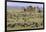 Huge wildebeest herd during migration, Serengeti National Park, Tanzania, Africa-Adam Jones-Framed Photographic Print