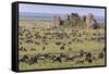Huge wildebeest herd during migration, Serengeti National Park, Tanzania, Africa-Adam Jones-Framed Stretched Canvas
