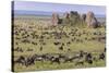 Huge wildebeest herd during migration, Serengeti National Park, Tanzania, Africa-Adam Jones-Stretched Canvas