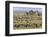 Huge wildebeest herd during migration, Serengeti National Park, Tanzania, Africa-Adam Jones-Framed Photographic Print