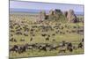 Huge wildebeest herd during migration, Serengeti National Park, Tanzania, Africa-Adam Jones-Mounted Photographic Print