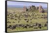 Huge wildebeest herd during migration, Serengeti National Park, Tanzania, Africa-Adam Jones-Framed Stretched Canvas