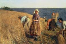 The Harvest-Hugh Cameron-Giclee Print