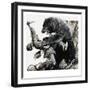 Hugh Glass Being Savaged by a Bear, 1978-Severino Baraldi-Framed Giclee Print