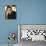 Hugh Jackman-null-Photo displayed on a wall