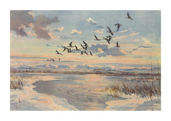 Premium Giclee Print, , large
