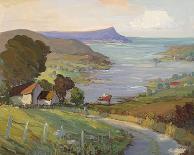 Donegal Cottage-Hugh O'Neill-Giclee Print