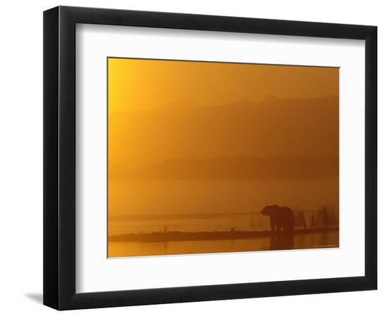 Premium Photographic Print, , large