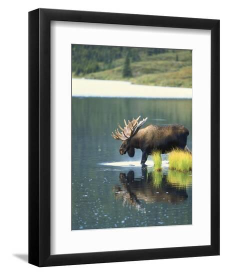 Photographic Print, , large