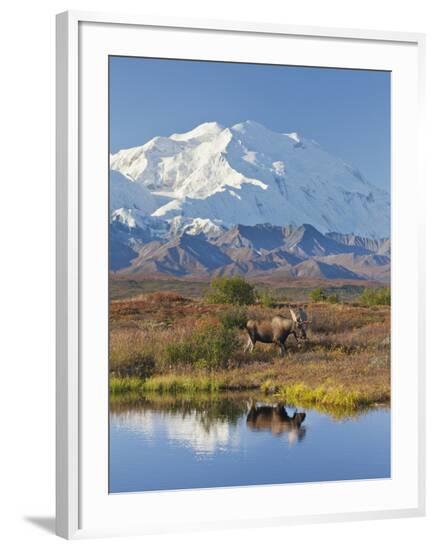 Framed Photographic Print, , large