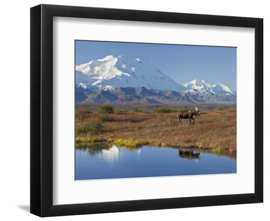 Photographic Print, , large