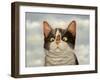 Hugo Hege-Lowell Herrero-Framed Art Print