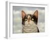 Hugo Hege-Lowell Herrero-Framed Art Print