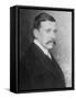 Hugo Von Hofmannsthal Austrian Writer-null-Framed Stretched Canvas