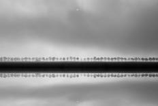 Polderlandscape in reflection-Huib Limberg-Photographic Print