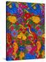 Huipil Cloth Pattern, Guatemala, Central America-Upperhall Ltd-Stretched Canvas