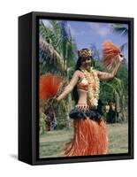 Hula Dance in Kapiolani Park, Waikiki, Hawaii, Hawaiian Islands, USA-Ursula Gahwiler-Framed Stretched Canvas