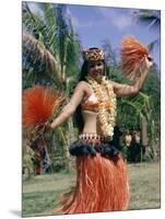 Hula Dance in Kapiolani Park, Waikiki, Hawaii, Hawaiian Islands, USA-Ursula Gahwiler-Mounted Photographic Print