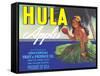 Hula Girl Label-null-Framed Stretched Canvas