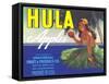 Hula Girl Label-null-Framed Stretched Canvas