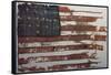 Hulbert Flag, Early U.S. Flag, 1776-Science Source-Framed Stretched Canvas