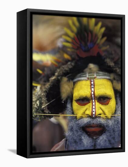 Huli Wigman, Tari, Papua New Guinea, Oceania-Michele Westmorland-Framed Stretched Canvas