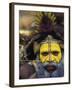 Huli Wigman, Tari, Papua New Guinea, Oceania-Michele Westmorland-Framed Photographic Print