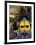 Huli Wigman, Tari, Papua New Guinea, Oceania-Michele Westmorland-Framed Photographic Print