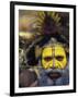 Huli Wigman, Tari, Papua New Guinea, Oceania-Michele Westmorland-Framed Photographic Print