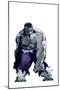 Hulk Gray No.1 Cover: Hulk-Tim Sale-Mounted Poster