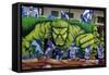 Hulk Green Monster On Mardi Gras Float-Carol Highsmith-Framed Stretched Canvas