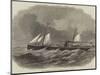 Hull Steam-Ship Orlando, for Passenger Traffic to Sweden-null-Mounted Giclee Print