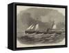 Hull Steam-Ship Orlando, for Passenger Traffic to Sweden-null-Framed Stretched Canvas