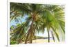 Hulopo'e Beach Park, considered one of the finest beaches in the world, Lanai Island, Hawaii, USA-Stuart Westmorland-Framed Photographic Print