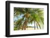 Hulopo'e Beach Park, considered one of the finest beaches in the world, Lanai Island, Hawaii, USA-Stuart Westmorland-Framed Photographic Print