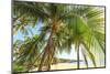 Hulopo'e Beach Park, considered one of the finest beaches in the world, Lanai Island, Hawaii, USA-Stuart Westmorland-Mounted Photographic Print