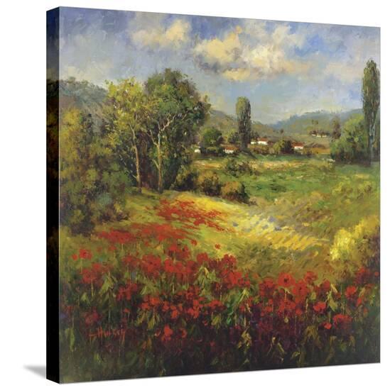 Stretched Canvas Print, , large