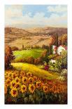 Valley View III-Hulsey-Stretched Canvas