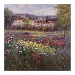 Poppy Vista II-Hulsey-Stretched Canvas