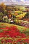 Italian Countryside-Hulsey-Art Print