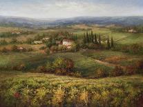 Valley View III-Hulsey-Art Print