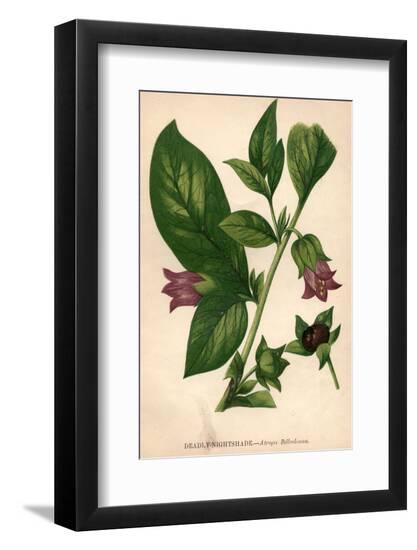 Premium Photographic Print, , large