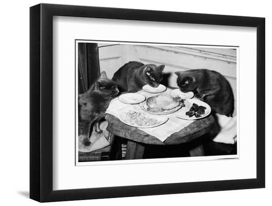 Photographic Print, , large