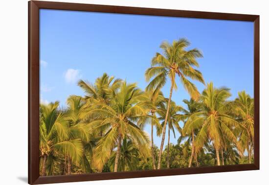 Hulupo'e Bay, Lanai Island, Hawaii, USA-Stuart Westmorland-Framed Photographic Print