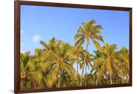 Hulupo'e Bay, Lanai Island, Hawaii, USA-Stuart Westmorland-Framed Photographic Print
